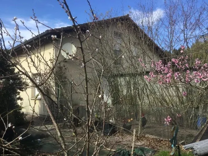 Maison 2009 en viager occupé à Lesperon - 40,4 %
