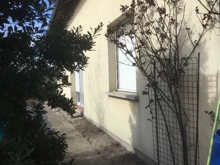 Maison 2009 en viager occupé à Lesperon - 40,4 % - photo 2