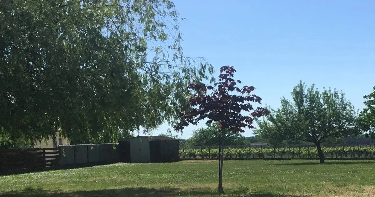 ? Viager Occupé - Pavillon de plain-pied au cœur des vignes de Saint-Émilion